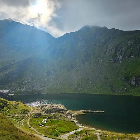 Апартаменты Casa Oaspeti Transfagarasan Кырцишоара Экстерьер фото