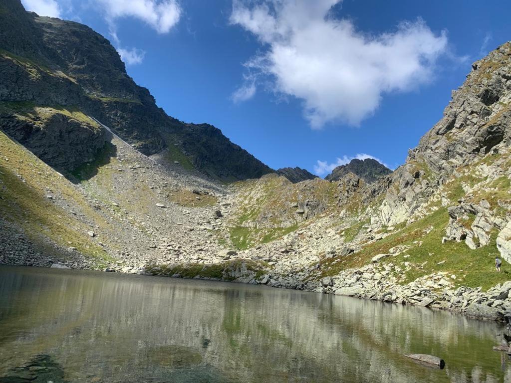 Апартаменты Casa Oaspeti Transfagarasan Кырцишоара Экстерьер фото